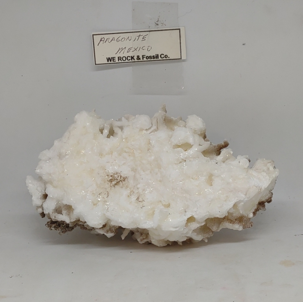CAVE Aragonite STALACTITE Crystal Cluster Mexico Bright White!  6"l x 3"w